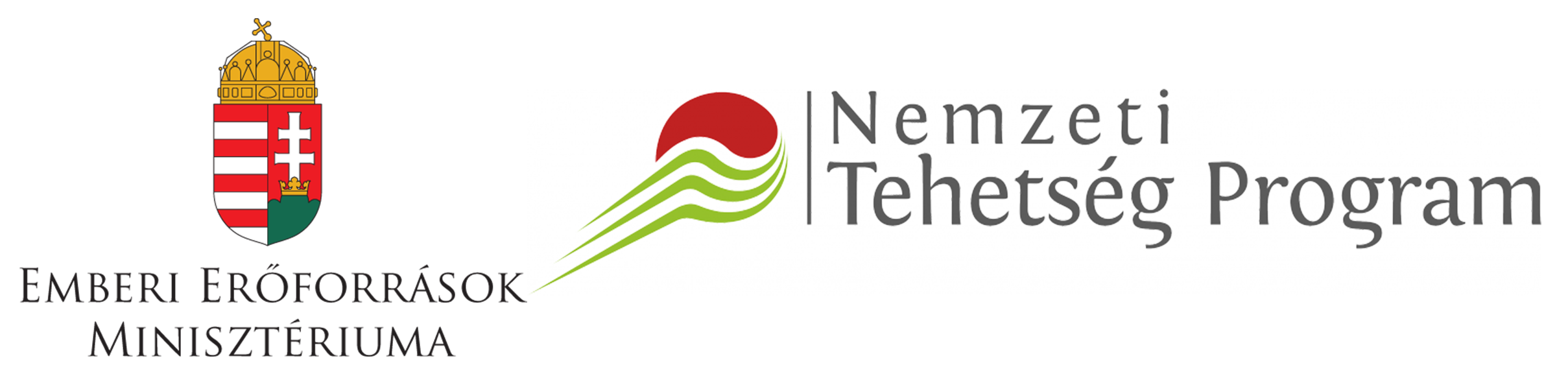 ntpandemmi logo2018